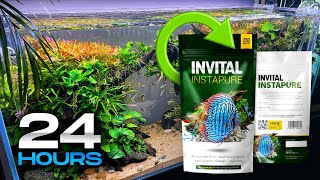 INVITAL InstaPURE 100ml