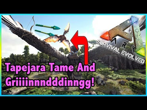 Ark Official PvP Ep 10!! || New Dino Pen And 140 TAPEJARA TAME!! || Ark Survival Evolved!