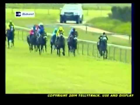 Lietuva - (Course De Reference) - Racing Association