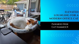 My Cat Refused to Leave This Pawaboo Desk Hammock — You’ll See Why!
