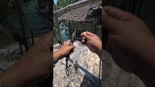 Caught &amp; Released. #fishing #fypシ゚viralシ #highlight #mancing #fishingvideo #follower #hobby