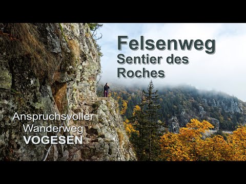 Felsenweg (Sentier des Roches) - einer der anspruchsvollsten Wanderwege in den Vogesen! (4K)