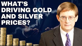 Driving Factors Behind The Sharp Rise And Drastic Decline Of Gold & Silver Prices, And What