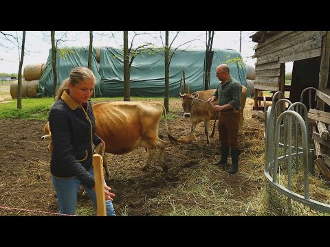 M5 TV – Fenntartható visszafejlődés – A Tulipános Tanya mindennapjai – 2023/19. adás – 2023.05.14.