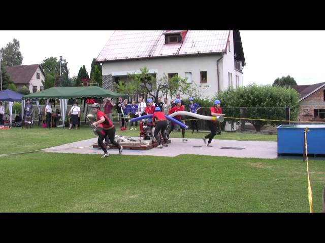 Borovice, 29. 06. 2014