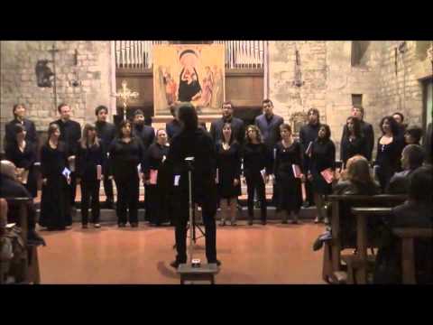 Coro Giovanile Italiano 2011/13 - L'ombra dei boschi d'Aser - Clausetti.wmv