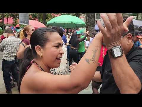 Ay mi cachucha - Las parrandas del Parque Berrio 