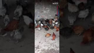 7 Kasım 2020