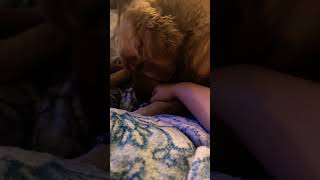 she only likes licking my hand if it’s between my fingers 😐😂🔫