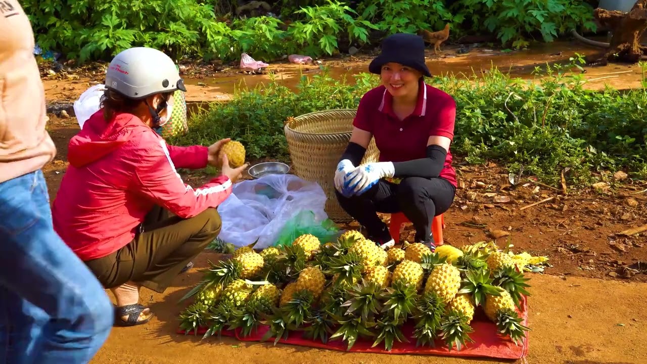 Harvesting Litchi Fruit Goes to market sell - Get grass for the fish to eat