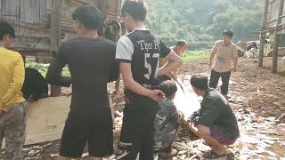 Ib tsoom phooj ywg thiab tsoom kwv tij sawv daws as thov pab hlub thiab tshua os