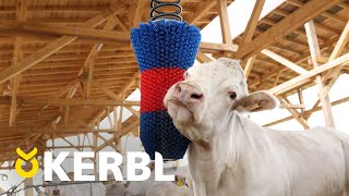 HAPPYCOW FlexiSwing™ Scratch Brush