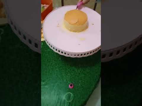 DTA20014 BASIC FOOD PREPARATION: CAKE DECORATION