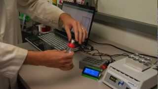 How We Test Marijuana