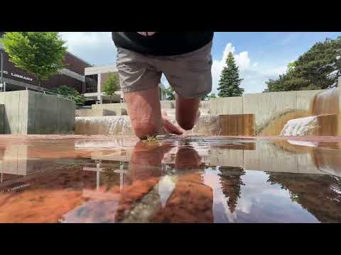 Crow Pose at the Library Fountain - Mike Brunette
