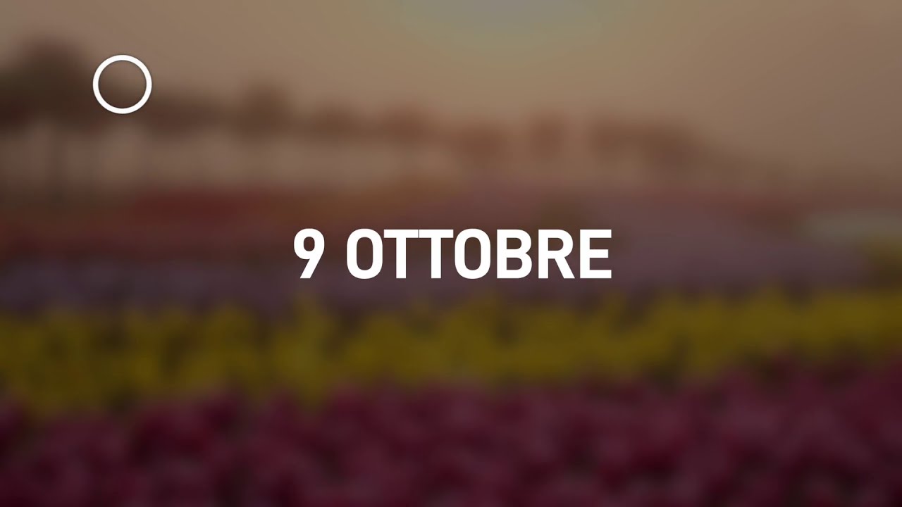 09 Ottobre 2024 | Meditazione Parole di Vita