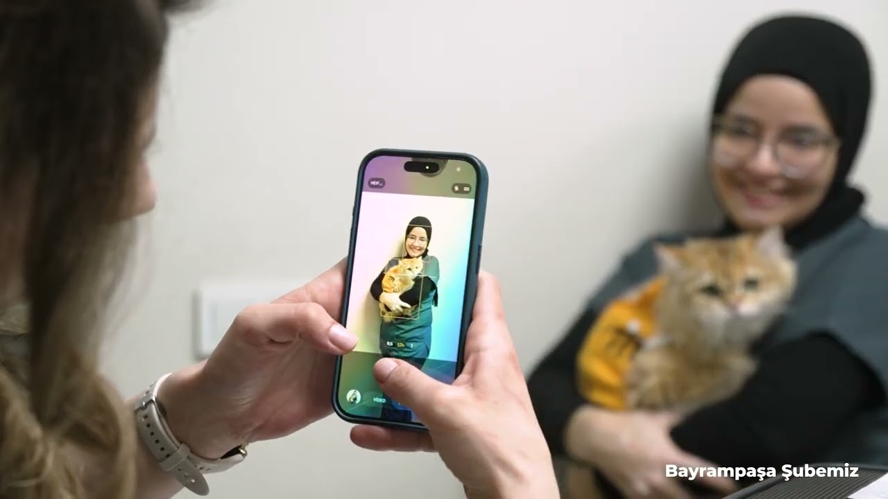 Pet Address Klinik Tanıtım Videosu