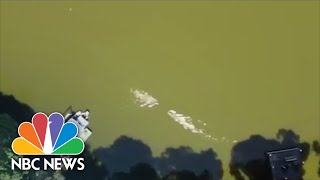 Florida Man Survives 12-Foot Alligator Attack