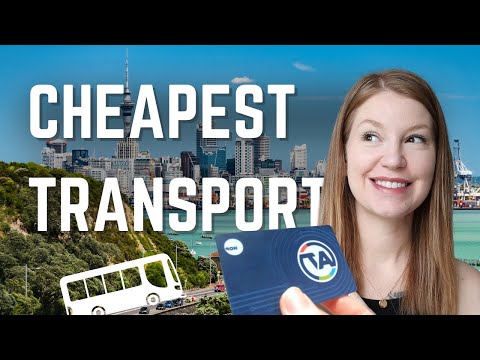 Navigating Auckland's Bus System AT Hop | Public Transit Guide