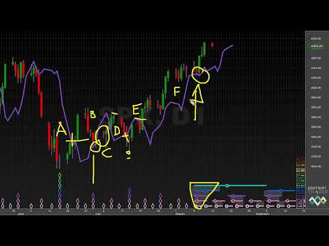 The 80-Day Cycle Trough - Hurst Cycles Market Update - 15 August 2022