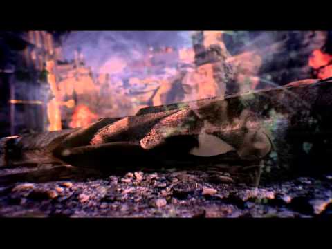 ARCHEAGE Intro Scene