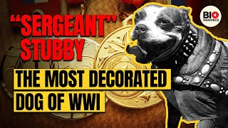 Sergeant Stubby: The Most Decorated Dog of WWI