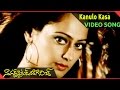Kanulo Kasa Video Song Naa Girl Friend Baaga Rich Movie Sivaji Kaveri Jha