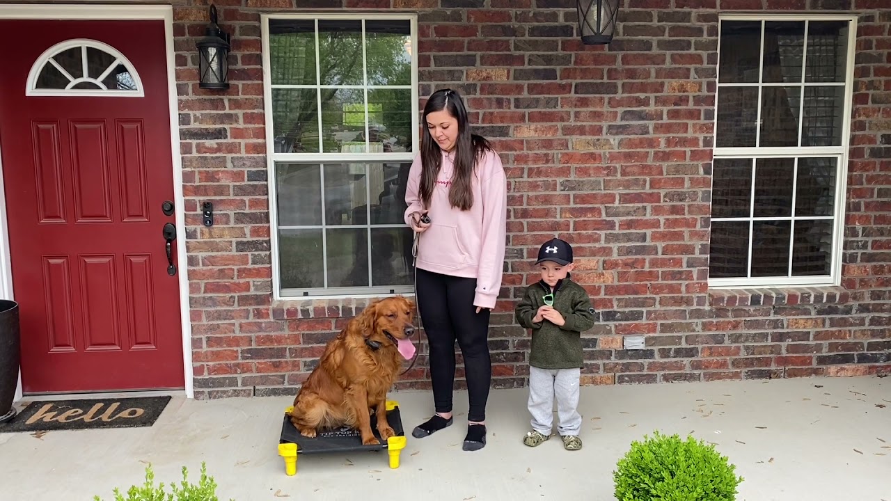 Dog Obedience Training Tulsa | Tip Top K9 Reviews