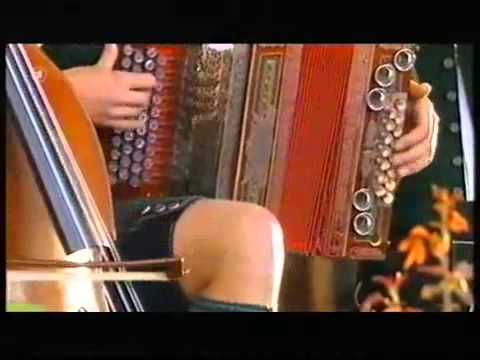 Hagreiner Musikanten -Echte Volksmusik