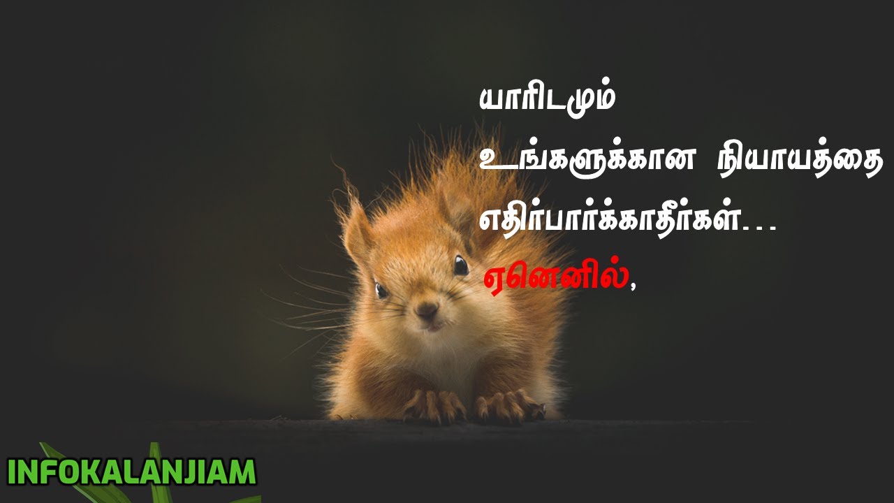 Watch video Life Quotes - 30 | Motivational Quotes in Tamil Now Life Quotes - 30 | Motivational Quotes in Tamil