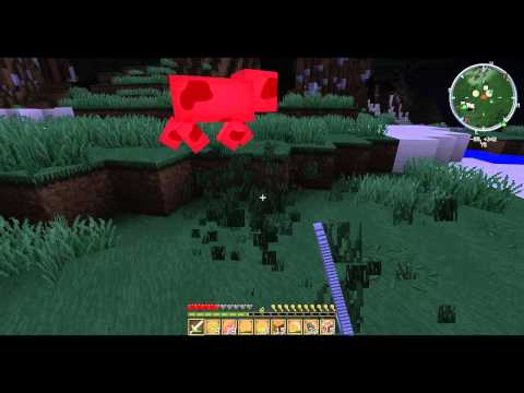 MEGA PROJEKT #1 AUSRASTER STUFE 6 von 10!!!