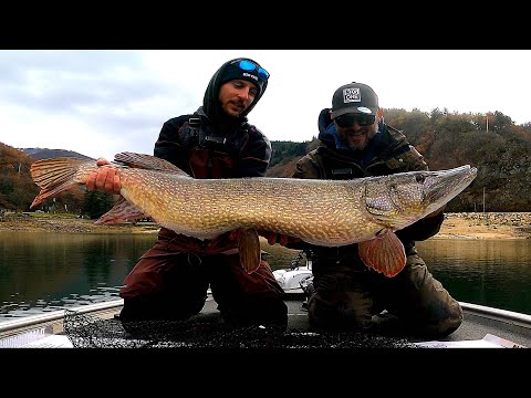 RECORD PIKE FROM ITALY! 130 CM and 20KG+ Fish! Lure Fishing from the Boat [Fish of a Lifetime]