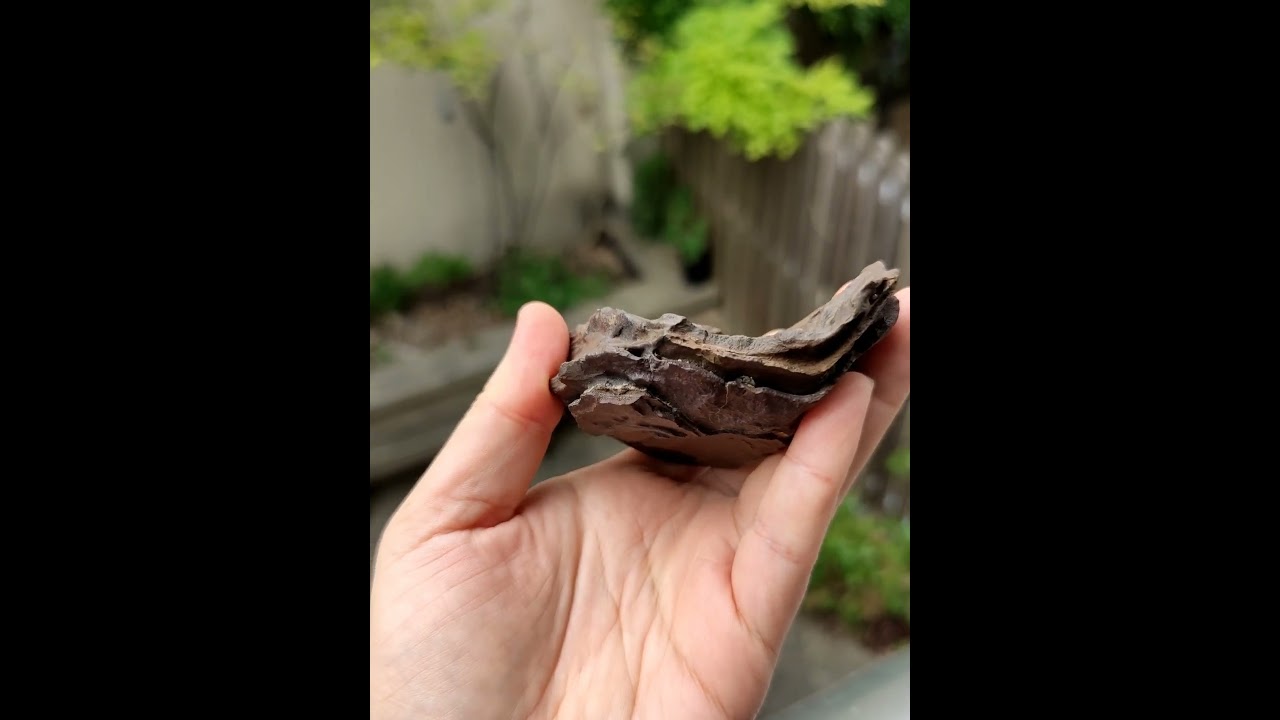 Egypt prophecy stone, metaphysical stone found in the desert of Sahara #healingcrystals #crystalshop