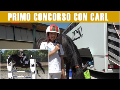 IL MIO PRIMO CONCORSO CON CARL, il mio nuovo cavallo.