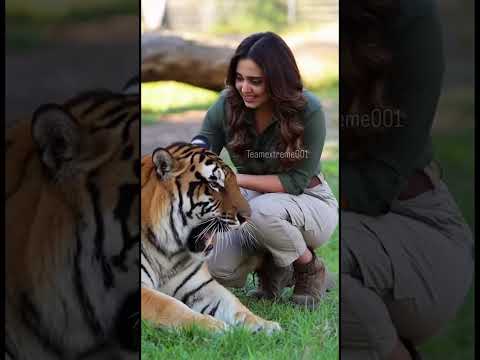 Up Close and Personal with a Tiger! 🐯