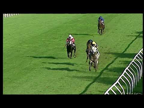 Napoli Galoppo 15/11/2021 - 2ª corsa