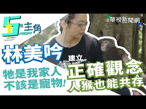 【5是主角】視台灣獼猴為家人 林美吟推廣「人猴共存」