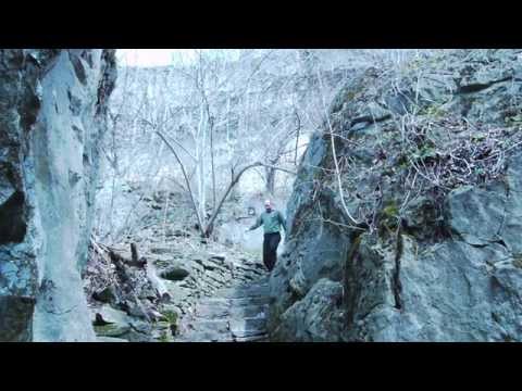 Introducing The Tribe Within