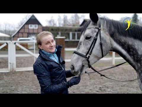 Vorreiten von Therapiepferd Falco - Besitzerin kommt zu Besuch | Falco & Bourbon Folge 21