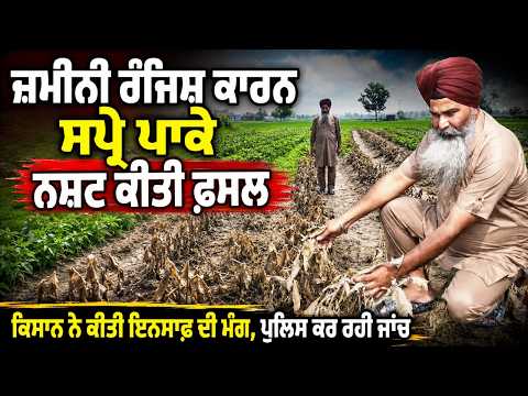 Crop destroyed by spraying chemicals due to land dispute,ਪੁਲਿਸ ਕਰ ਰਹੀ ਜਾਂਚ