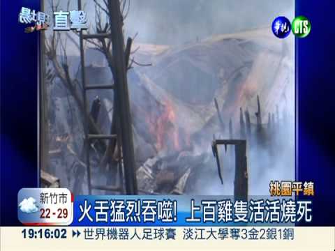 火噬平鎮工寮 上百雞隻活活燒死