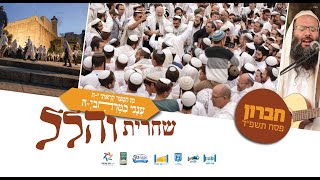 שידור חוזר | תפילת הלל בשירה שמחה וכוונת הלב בחברון | הרב שמואל אליהו | ב' חוה"מ פסח תשפ"ד (הרב שמואל אליהו) - התמונה מוצגת ישירות מתוך אתר האינטרנט יוטיוב. זכויות היוצרים בתמונה שייכות ליוצרה. קישור קרדיט למקור התוכן נמצא בתוך דף הסרטון