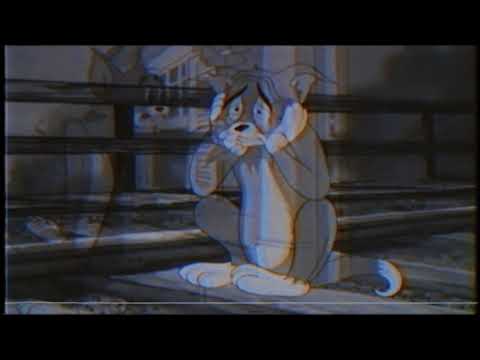 Foi de repente um golpe em pleno coração - (Prod. Nego Célio)