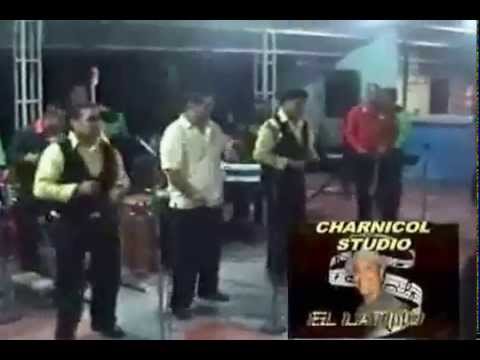 La Pequeña Banda Tropical de Venezuela