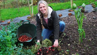 The Garden in December // Harvesting New Zealand Yams and a Garden Tour