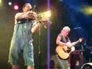 Hayseed Dixie - Trickle Down