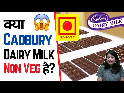 क्या Cadbury Dairy Milk Non-Veg है? | Factovation | Purnima Kaul #shorts #cadbury #dairymilk #nonveg