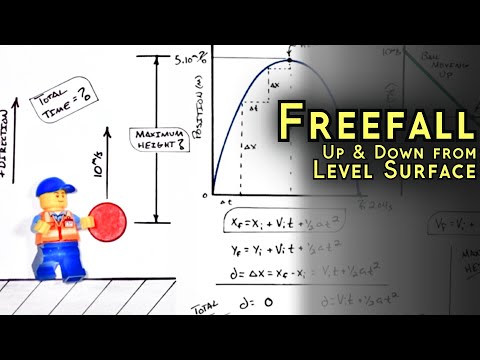Find Maximum Height & Time of Ball Tossed Upward | Graphing Freefall