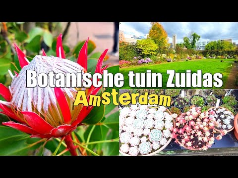 Botanische Tuin Zuidas | Botanical Garden | Amsterdam | Netherlands | 4K UHD