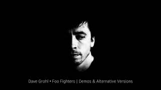 Dave Grohl • Foo Fighters - Hell&#39;s garden